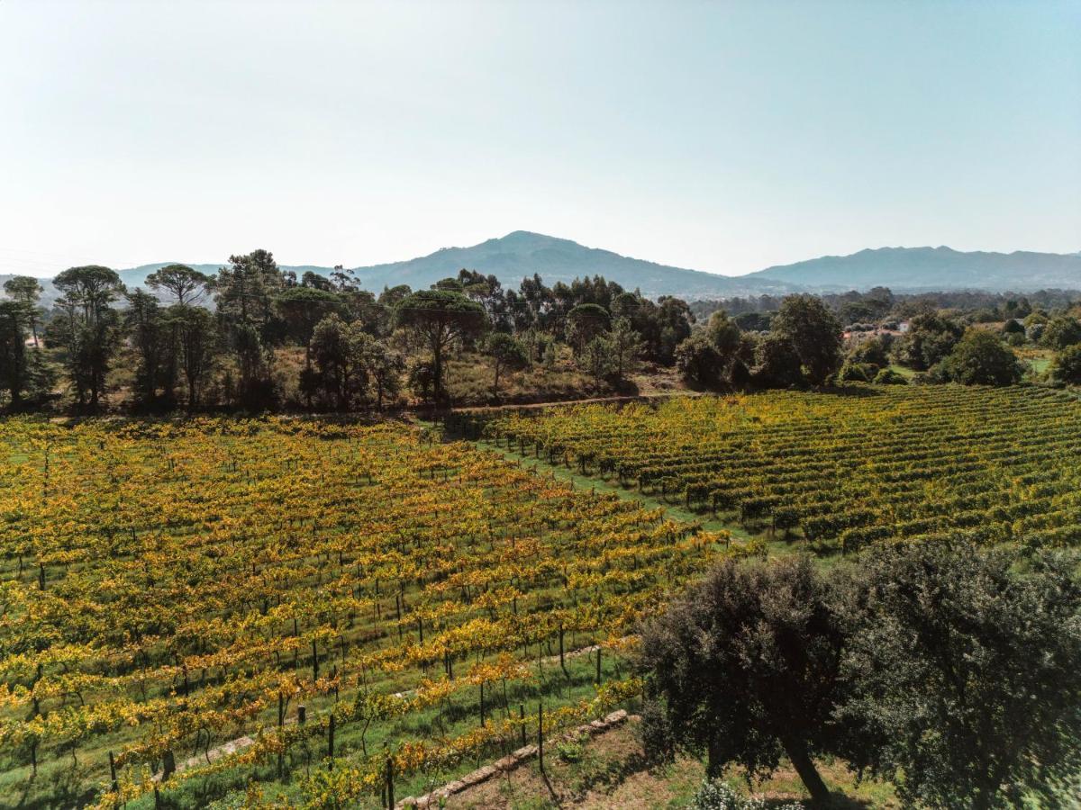 مبيت وإفطار بونتي دي ليما Quinta Do Convento De Val' Pereiras المظهر الخارجي الصورة